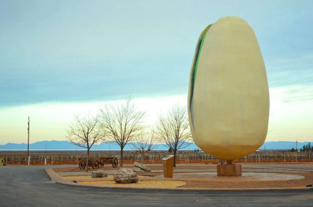 worlds-largest-pistachio – David Solce